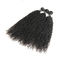 自然で黒いバージンのカーリー ヘアー/巻き毛の織り方の人間の毛髪は3束束ねます サプライヤー