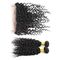 未加工二重よこ糸のブラジルの巻き毛の360の正面の閉鎖水波の人間のバージンの毛 サプライヤー